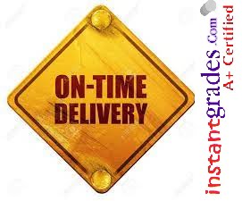 on-time-delivery assignment help services